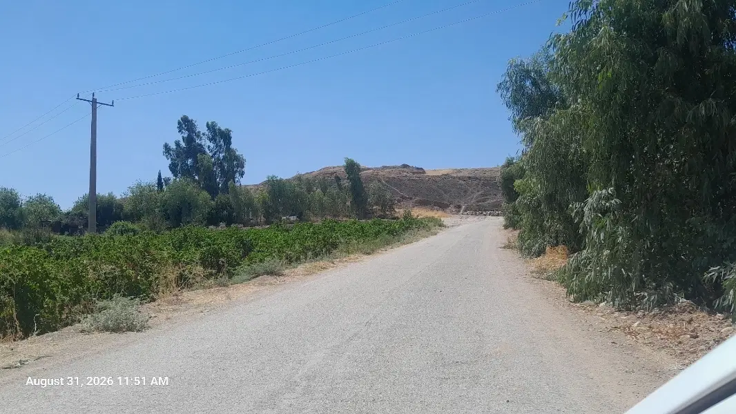 باغ انگور