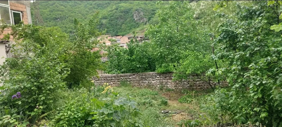فروش زمین داخل بافت روستای زیارت