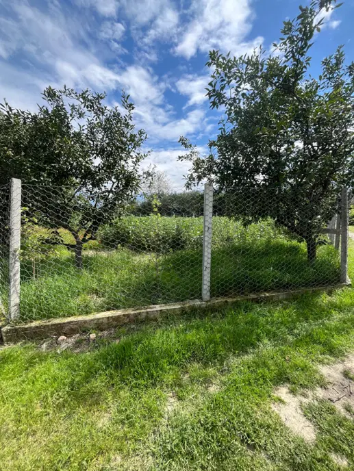 زمین کشاورزی فنس دار
