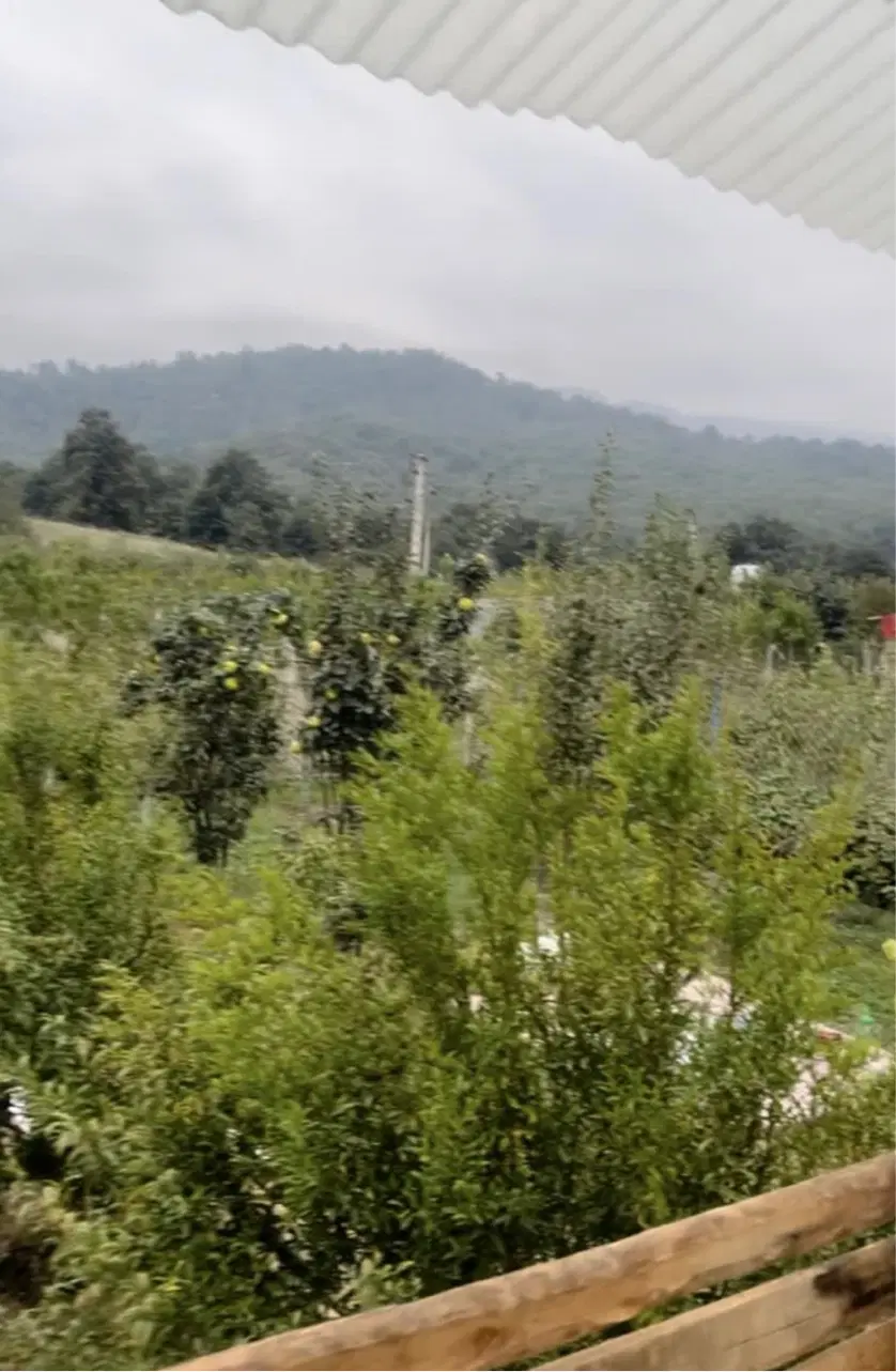 فروش زمین باغی