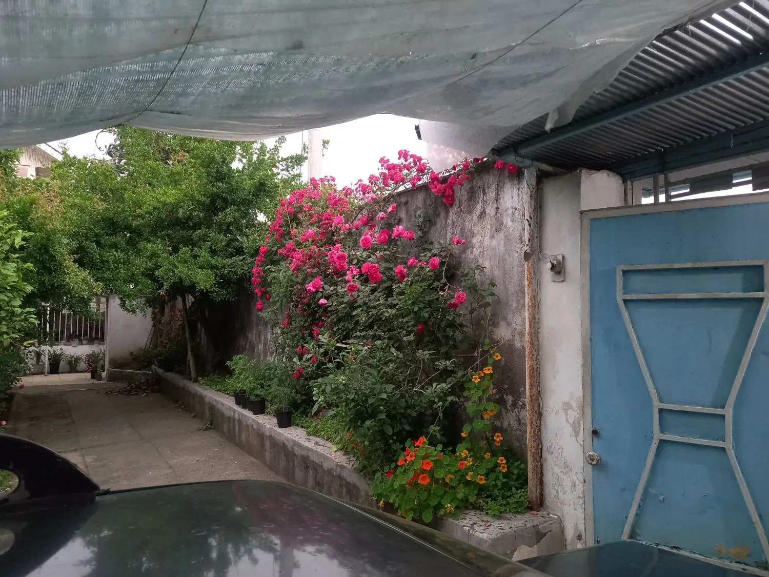 فروش خانه ویلایی