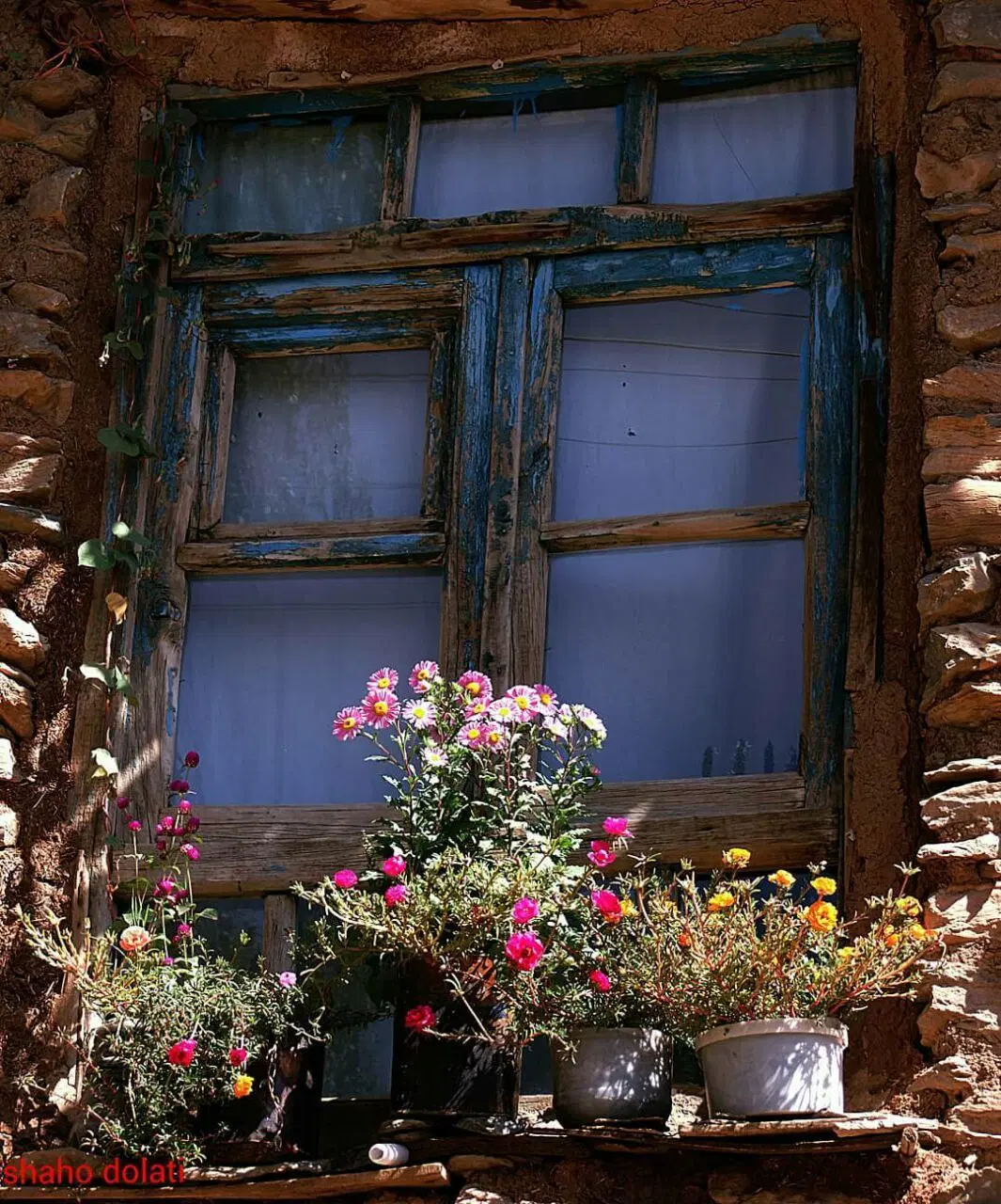 خانە اجارەای ۲خوابە