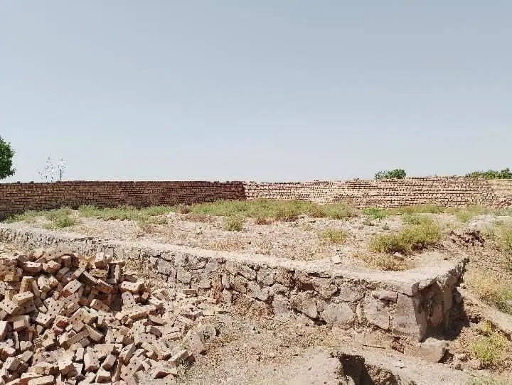 زمین