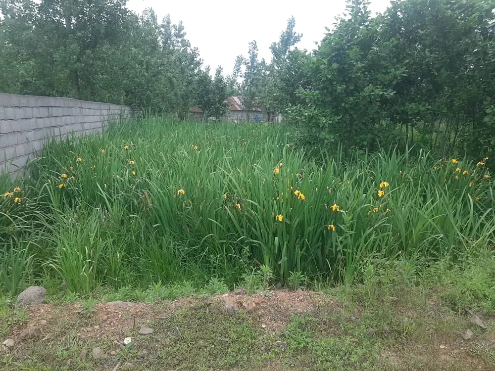 زمین با کاربری مسکونی فاز بهداشت