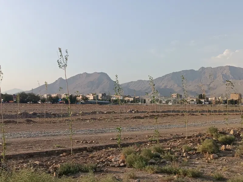 زمین 500متری