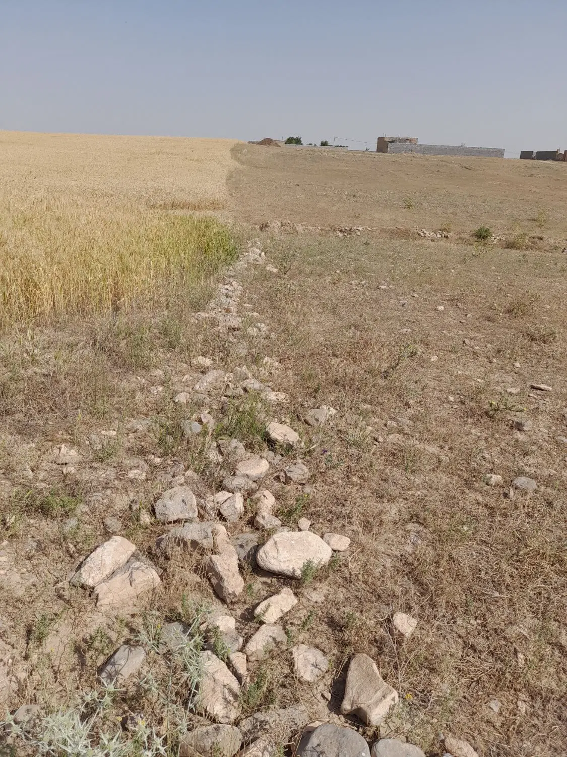زمین خالی هزار متری در روستای آقکاریز