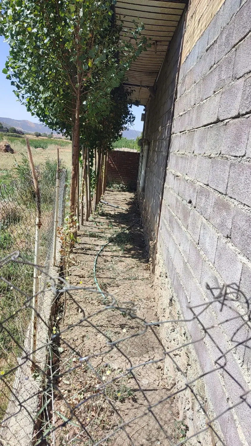 خانه در محله تالار کانی