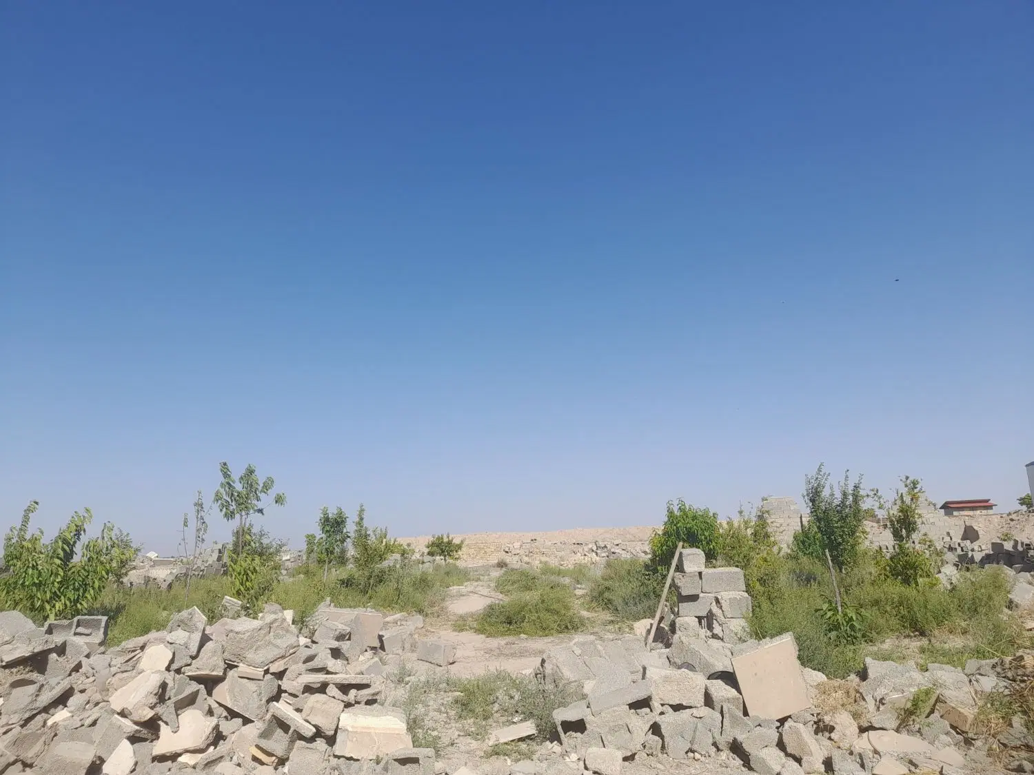 زمین با کاربری باغ باغچه