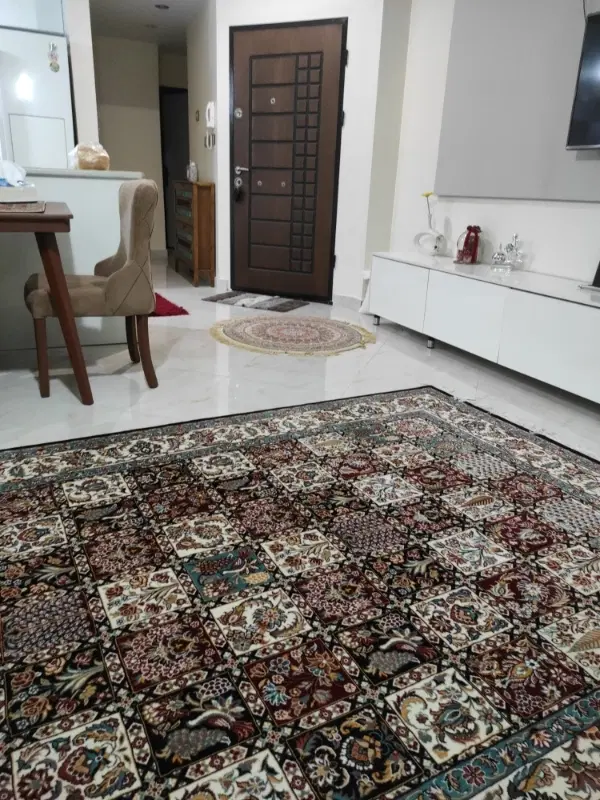 خونه ندارم همخونه میشم
