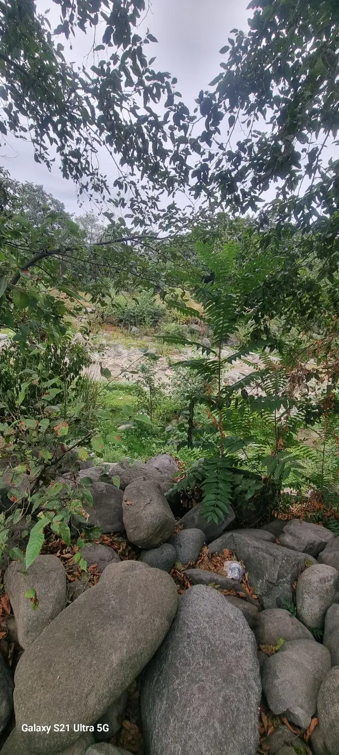 زمین ۸۰۰متری ورودی گناوه