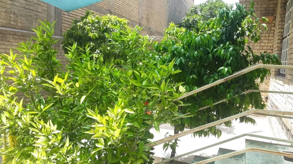 فروش منزل
