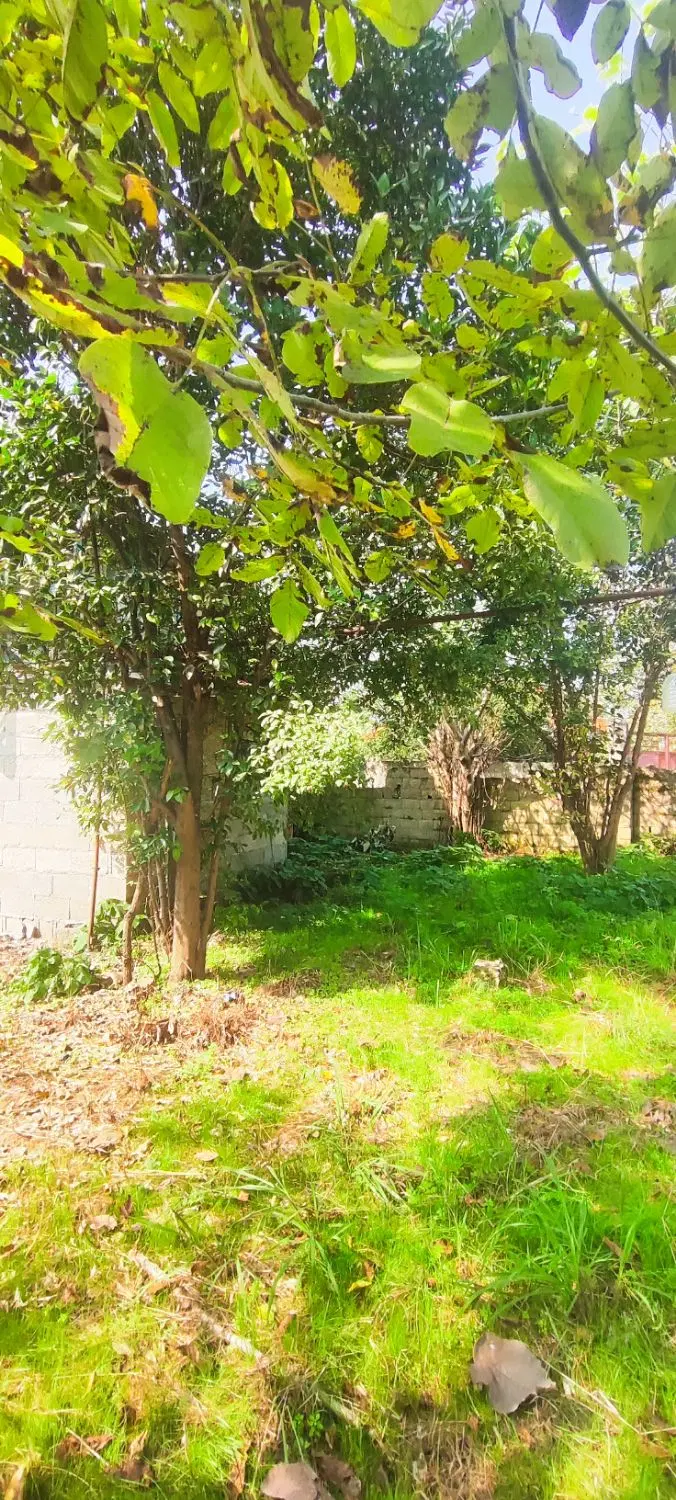 فروش خونه روستایی ۴خواب
