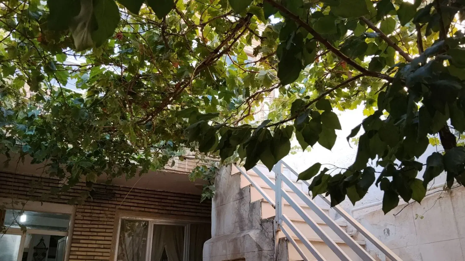 حیاط ویلایی دربستی ۲ طبقه