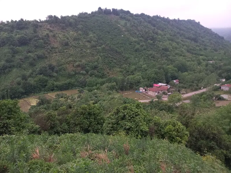 زمین برای ساخت شهرک ویلایی