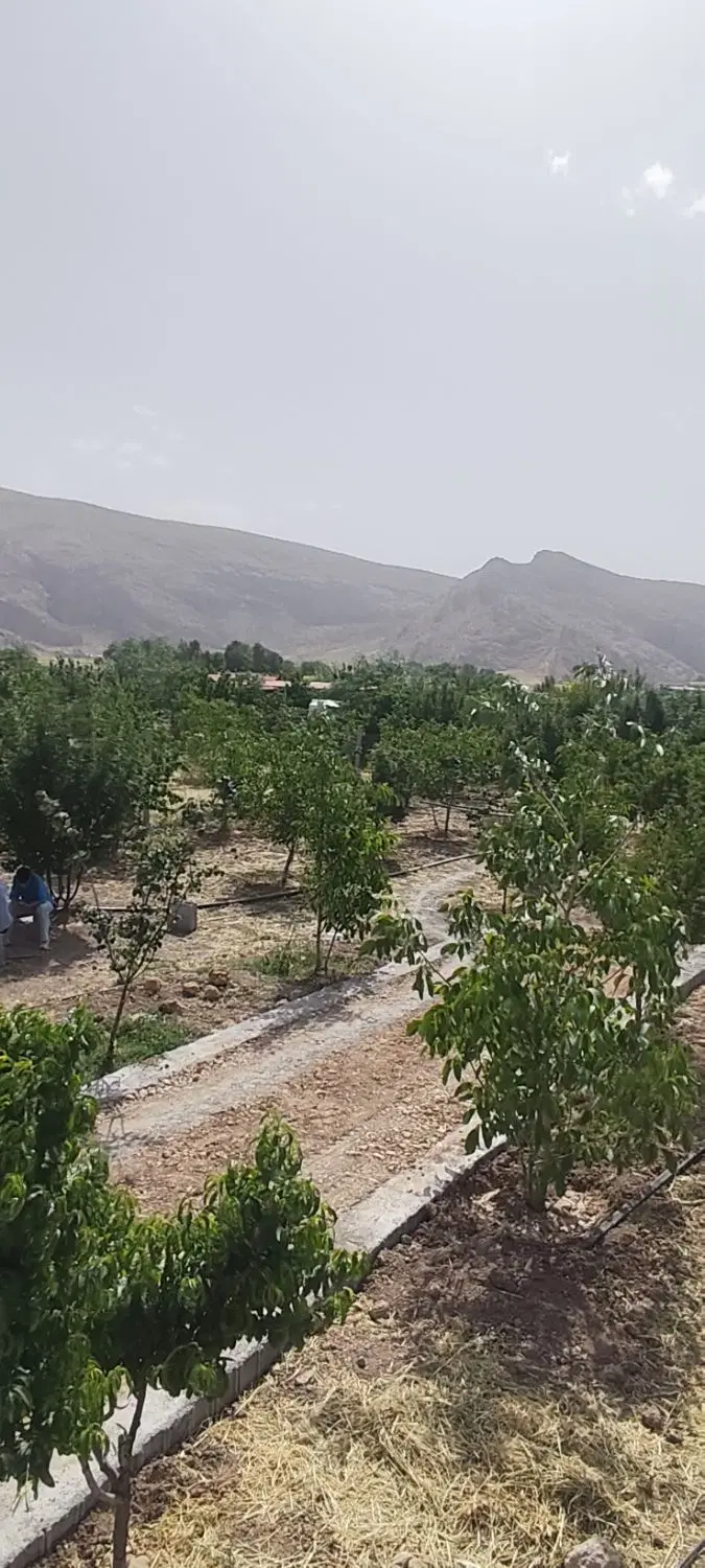 باغ شهری حسن آباد سنجرلو قابل معاوضه