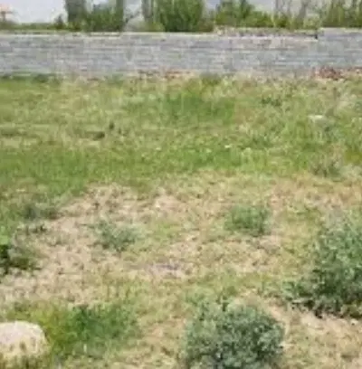 زمین