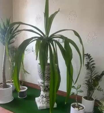 زمین شهرک صنعتی ۲