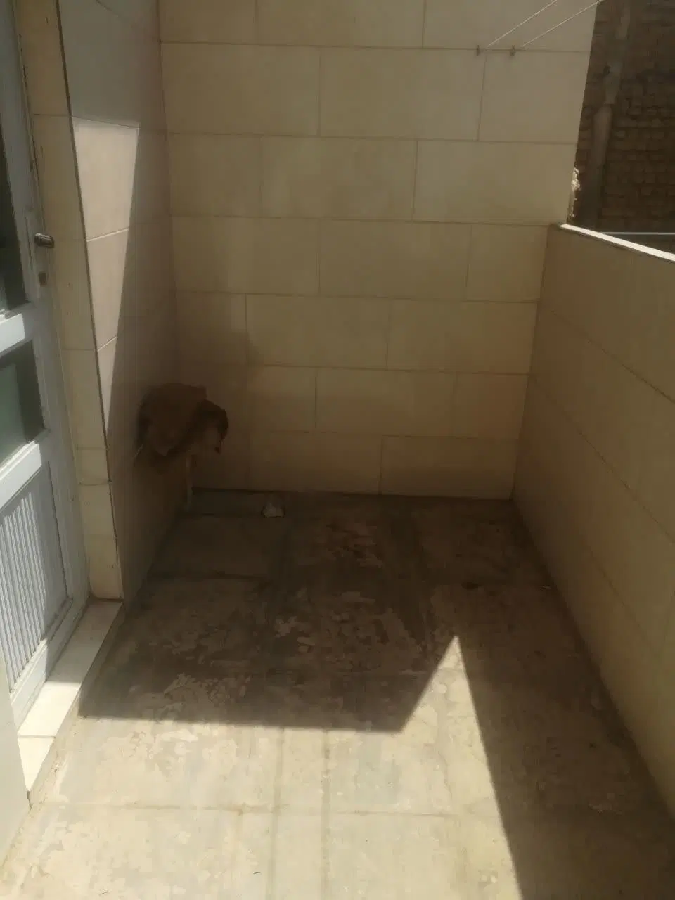 ۶۵ متر یک خوابه کوی امیر