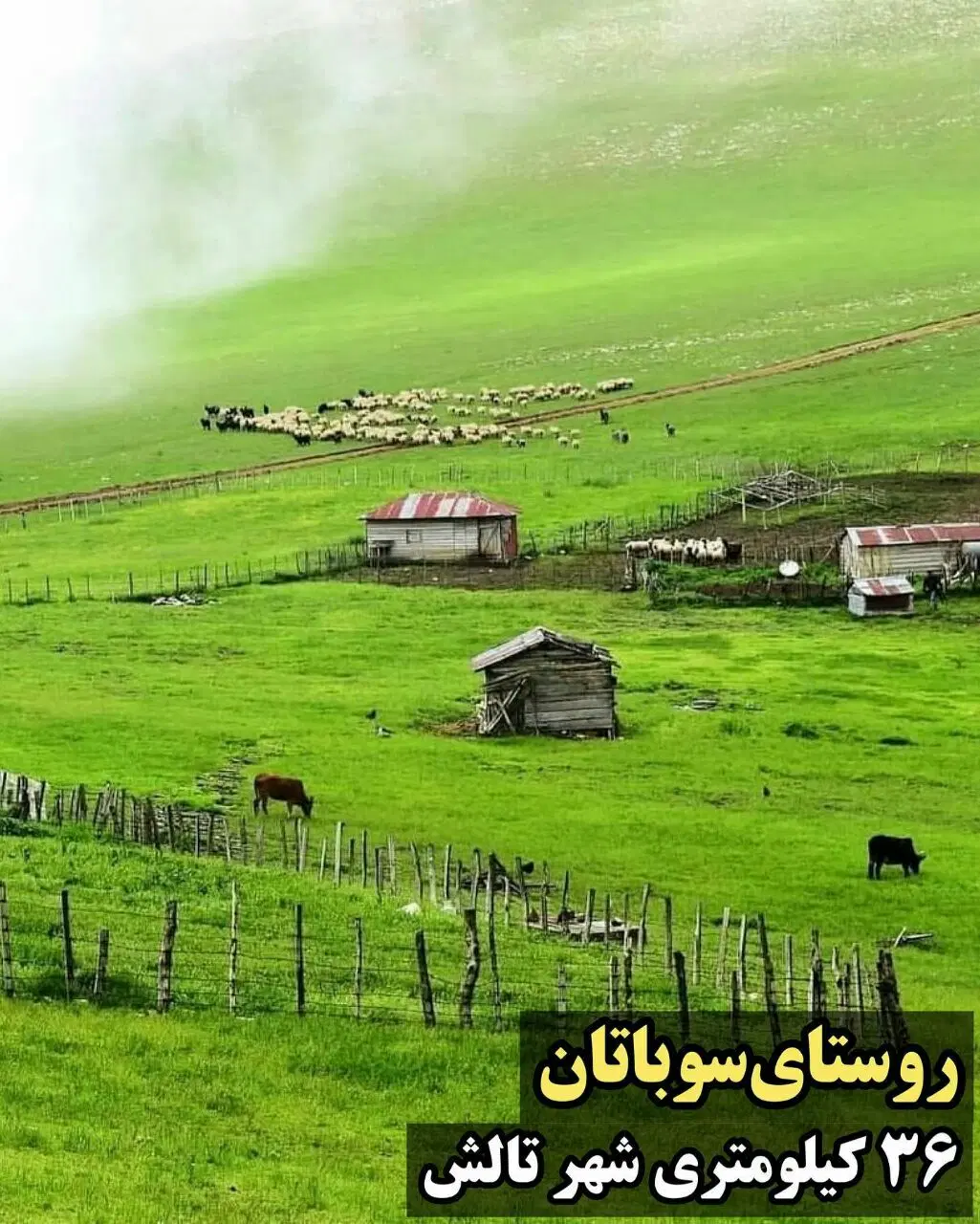 باغ ویلا لوکس استخر و جکوزی کاهو