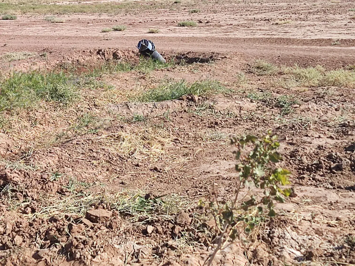 زمین زراعی کشاورزی نیشابور