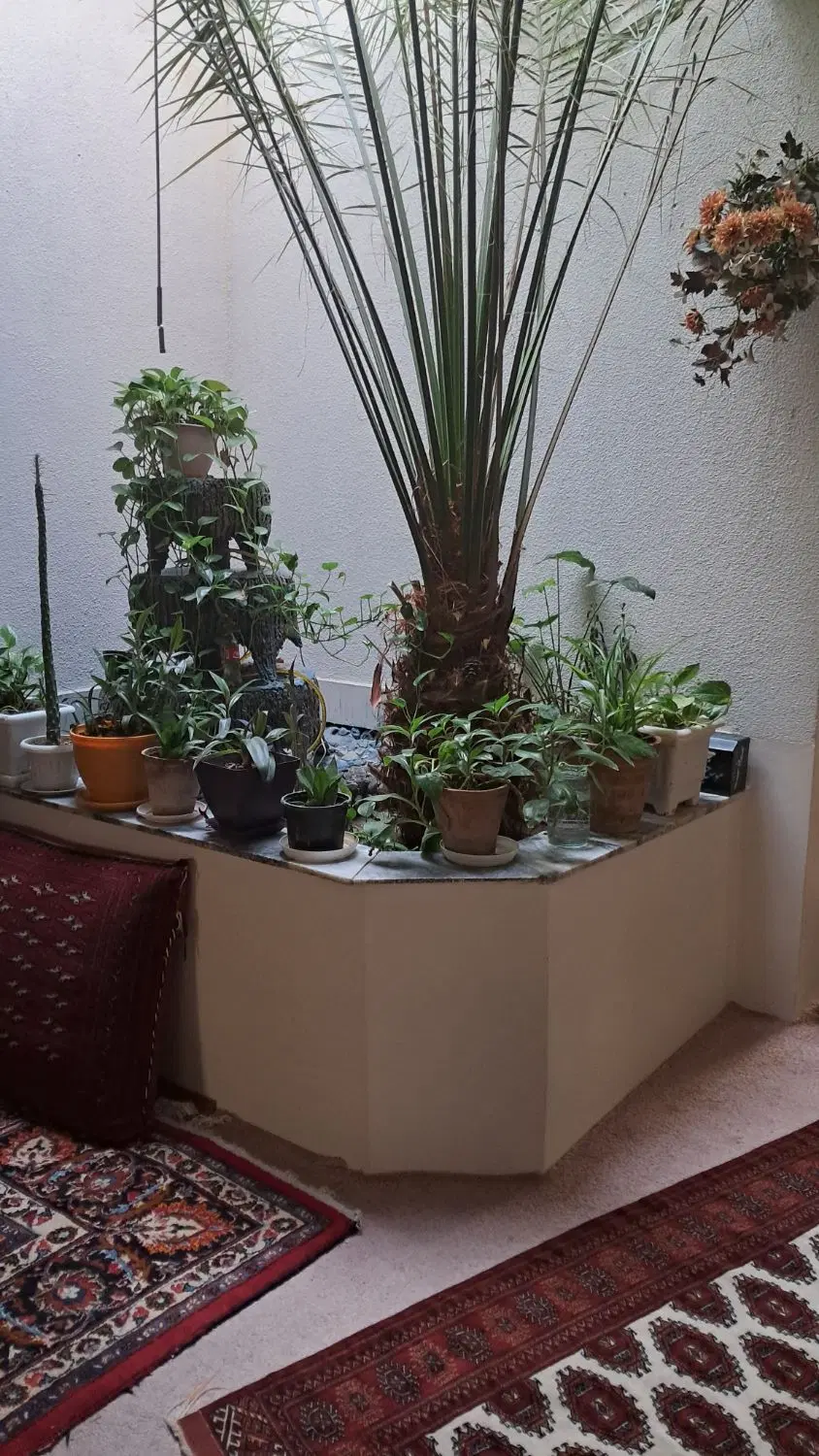 ویلایی ۳۲۵ متر شاهد حسابی