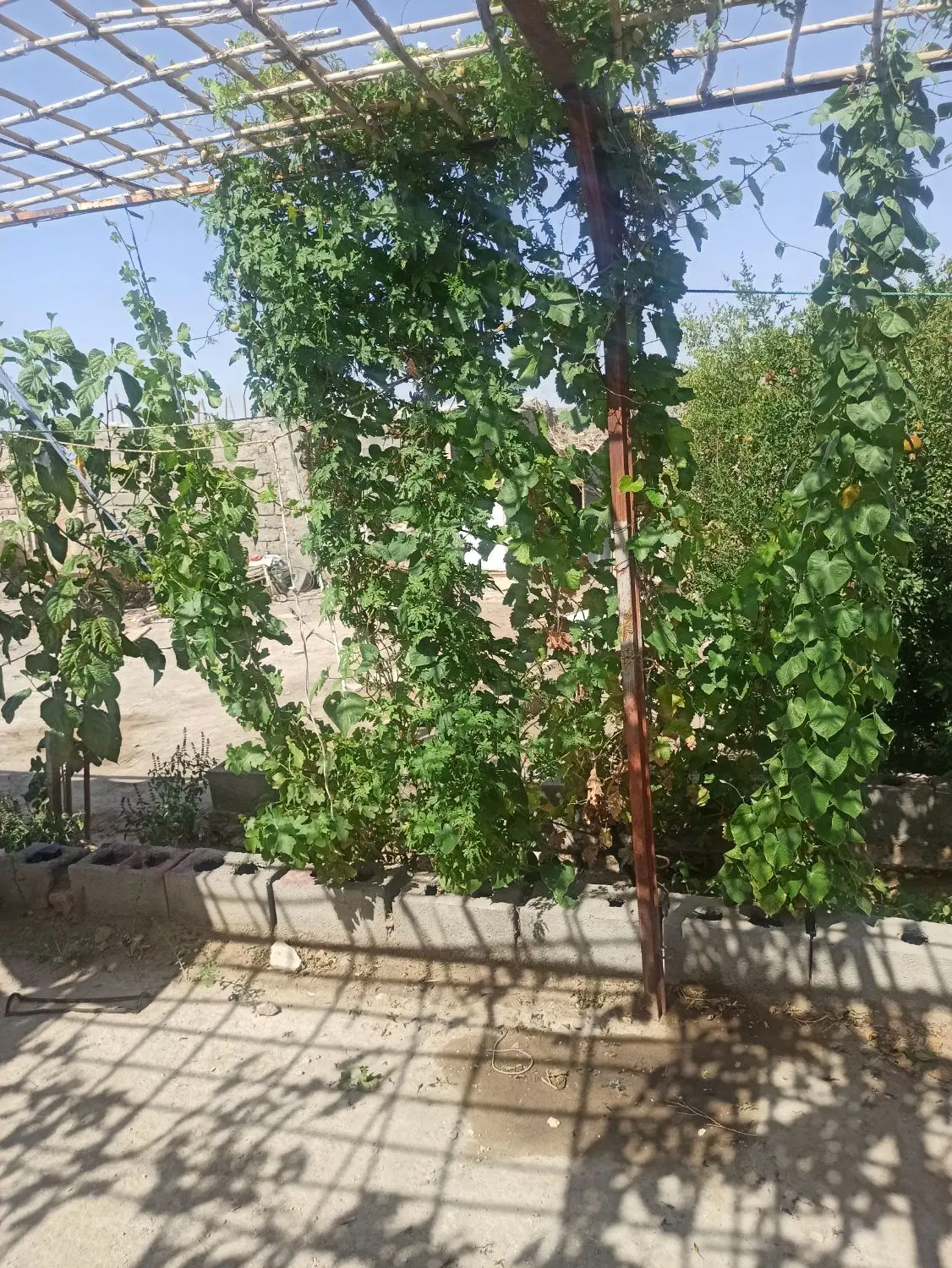 منزل مسکونی تجاری بر خیابان سی متری