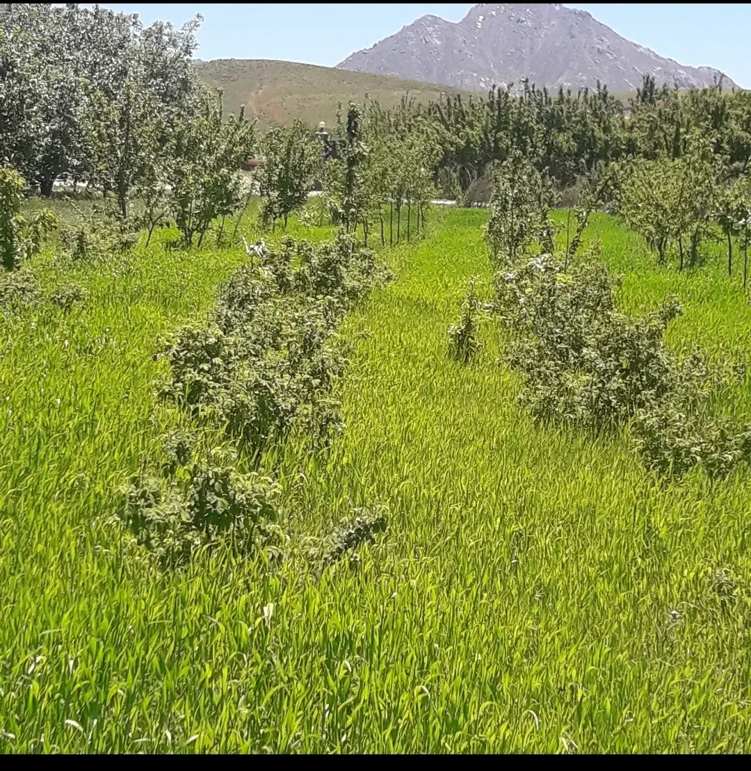 فروش زمین