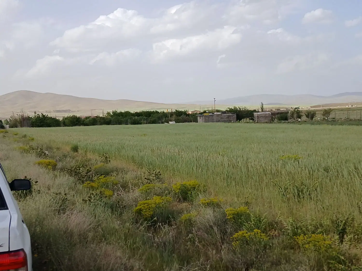 زمین کشاورزی ، باغ