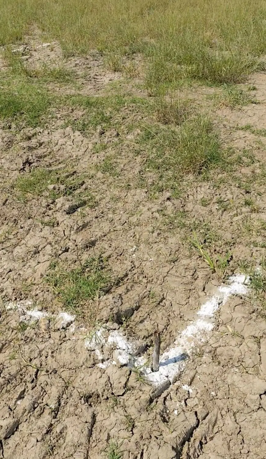 ۱۵۰ متر زمین علی آباد کتول سی متری علامه ۱۸