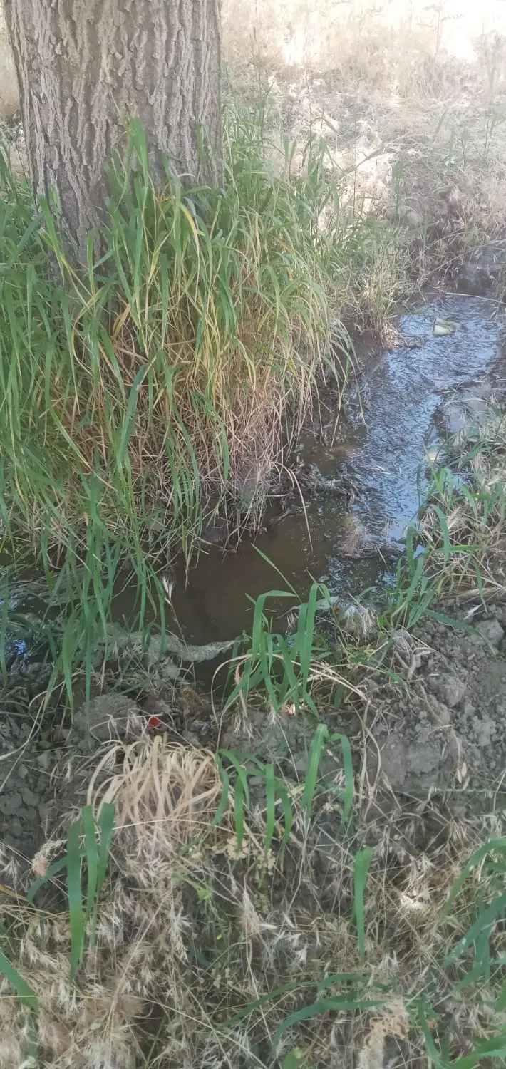 زمین کشاورزی