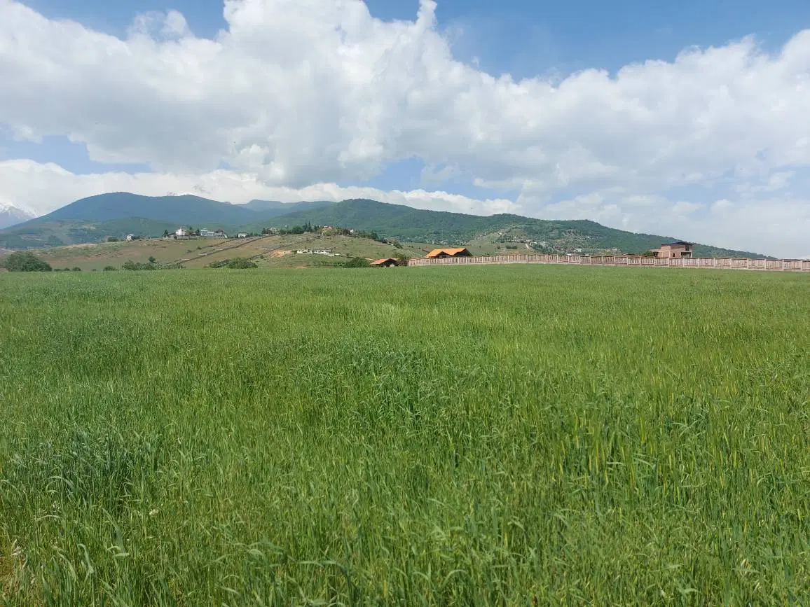 زمین فروشی انتهای کوچه علوی