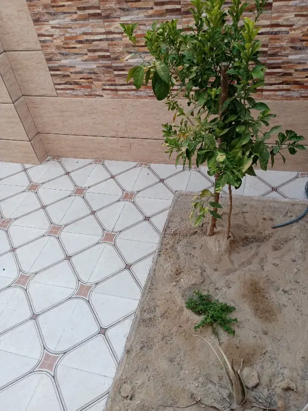 زمین باغ شهری قره چمن
