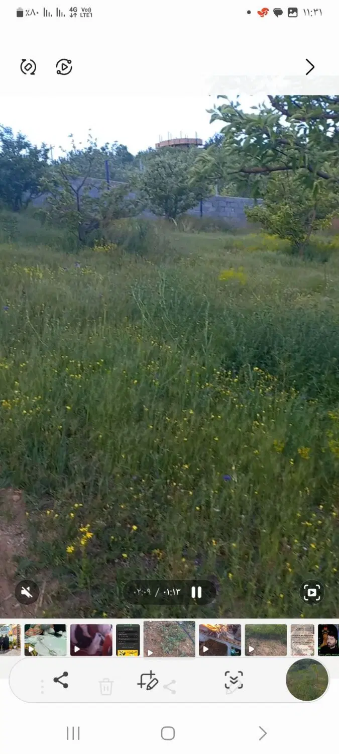 فروش باغ قطعه ای از بهشت