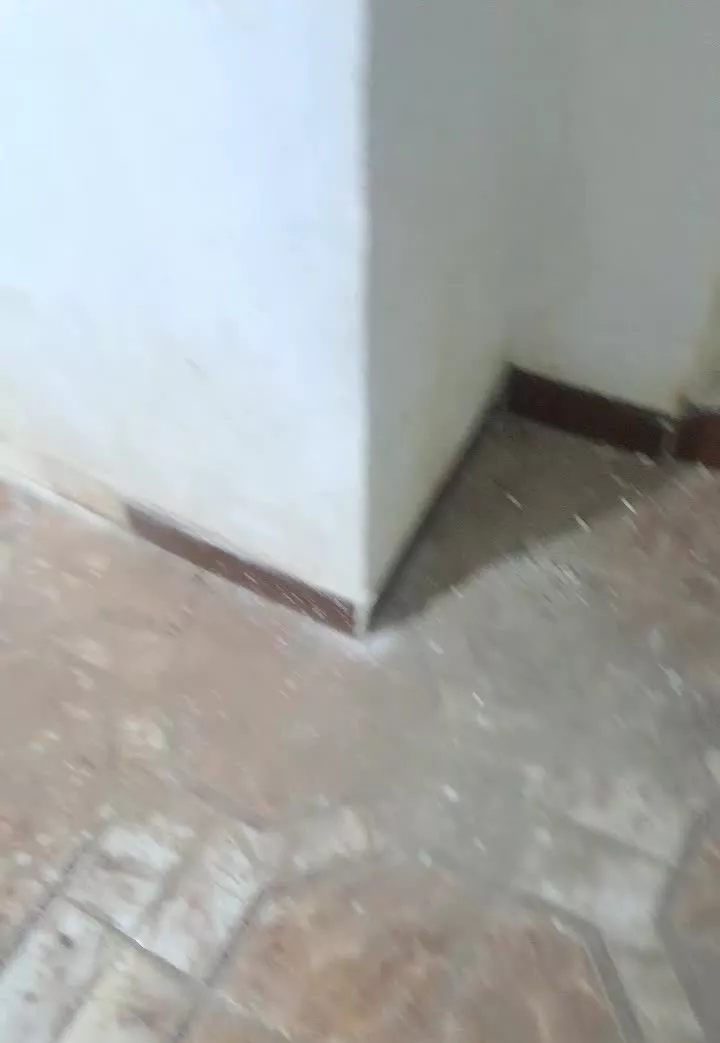 واحد ۶۰ متری