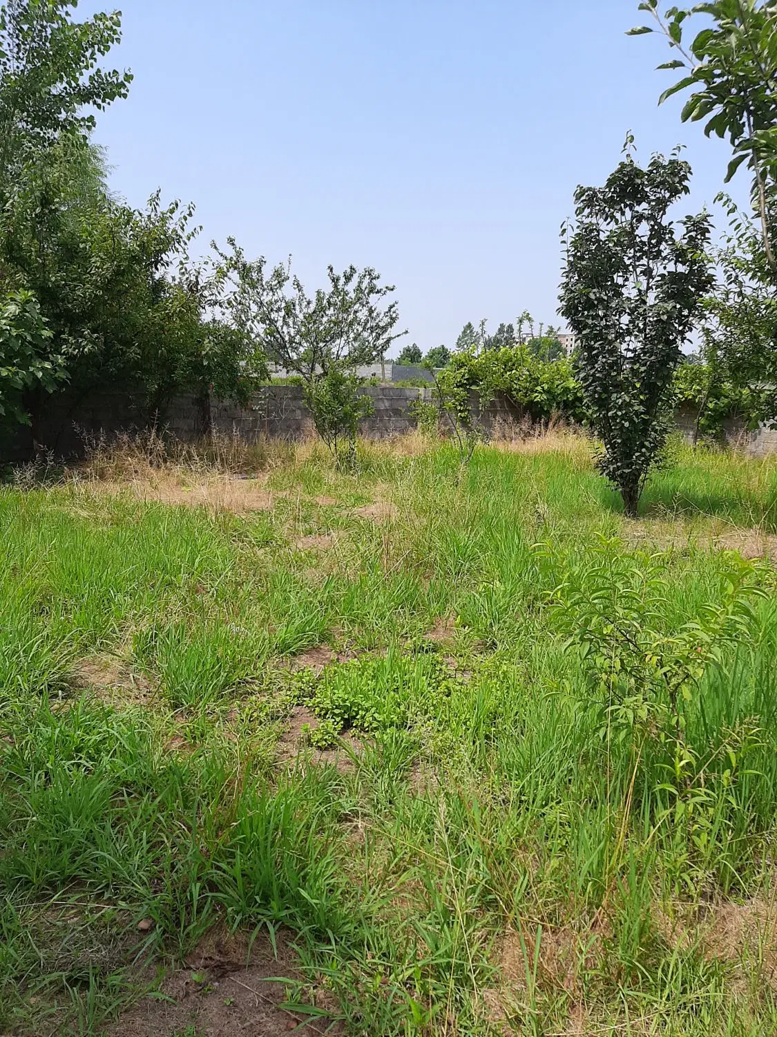 زمین به متراژ ۲۳۰ مت