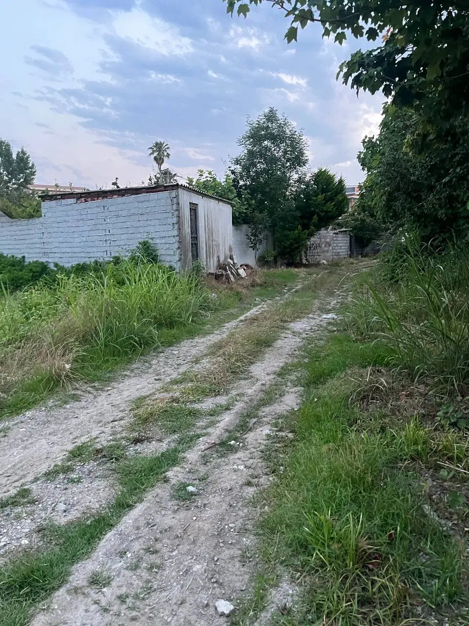 زمین ۲۲۰ متری بافت ساحلی روستای برند دریاسر