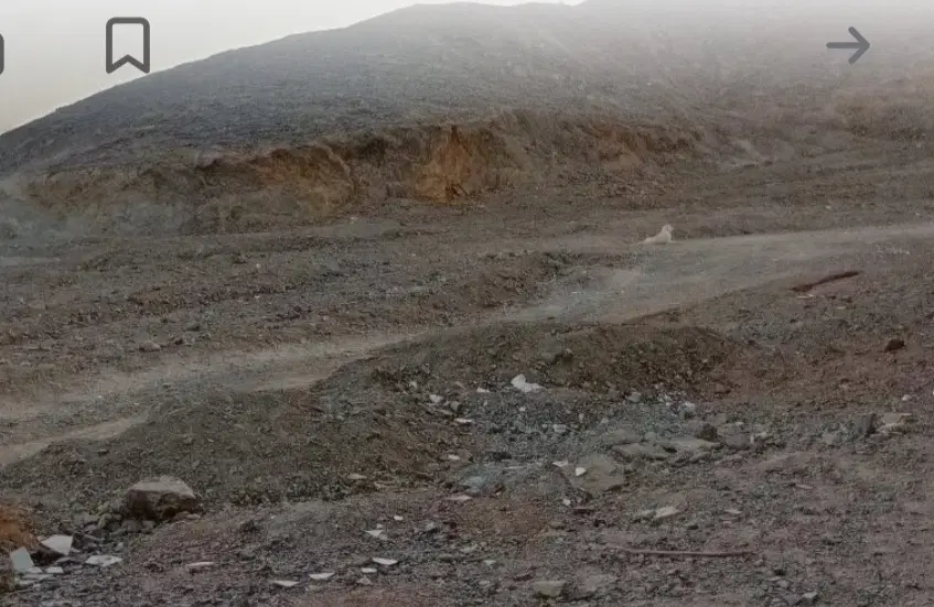 فروش سه دانگ از زمین سیاهدک