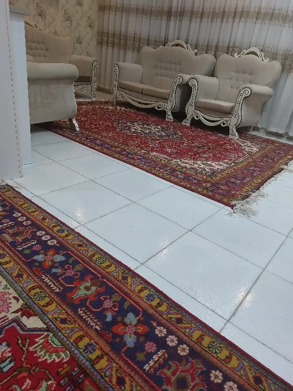 هم‌خانه خانم