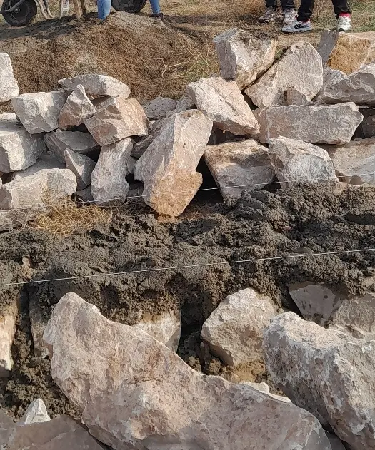 زمین کشاورزی و...
