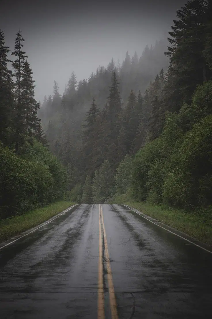 باغ ۶۰۰۰متری