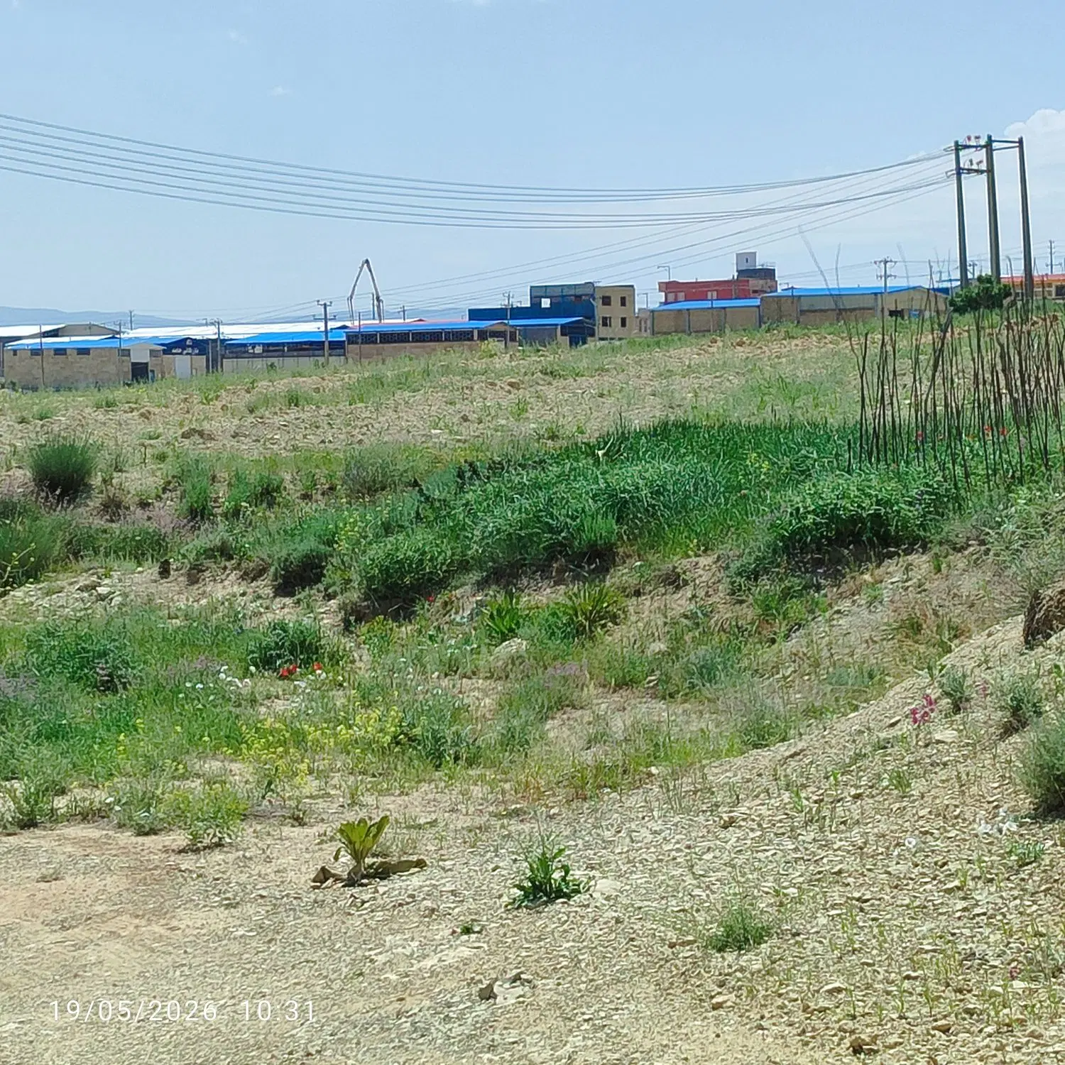 زمین ابتدای روستای بیدک روبروی شهرک صنعتی