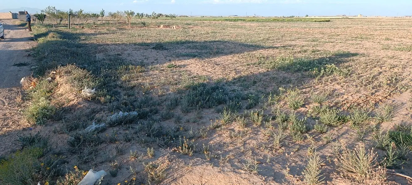 زمین باغی آزاد مرز آباد