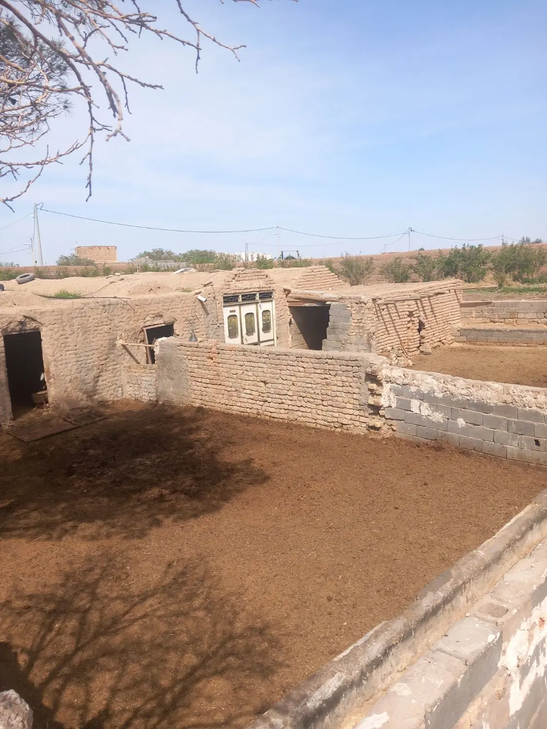 محل دامداری