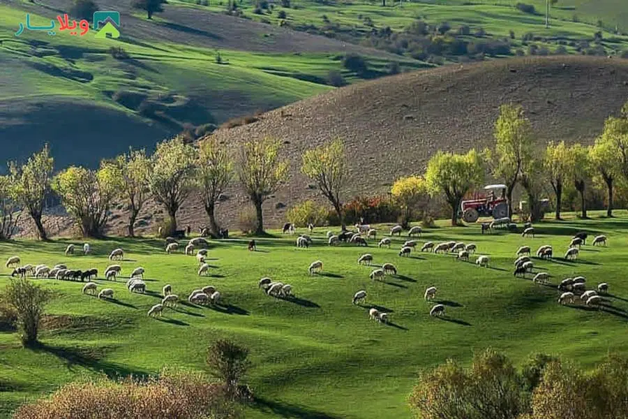 زمین آبی دو نبش قلعه سنگی باغدایی دوم