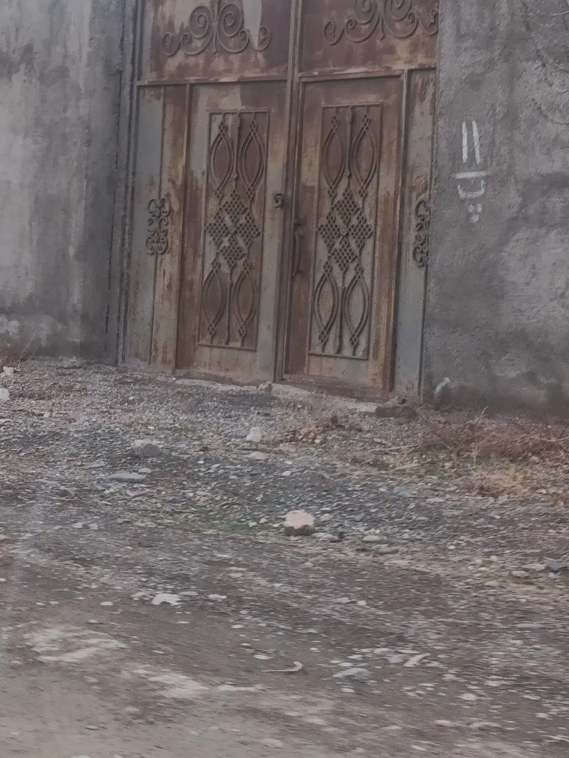 زمین باغی ناظریه