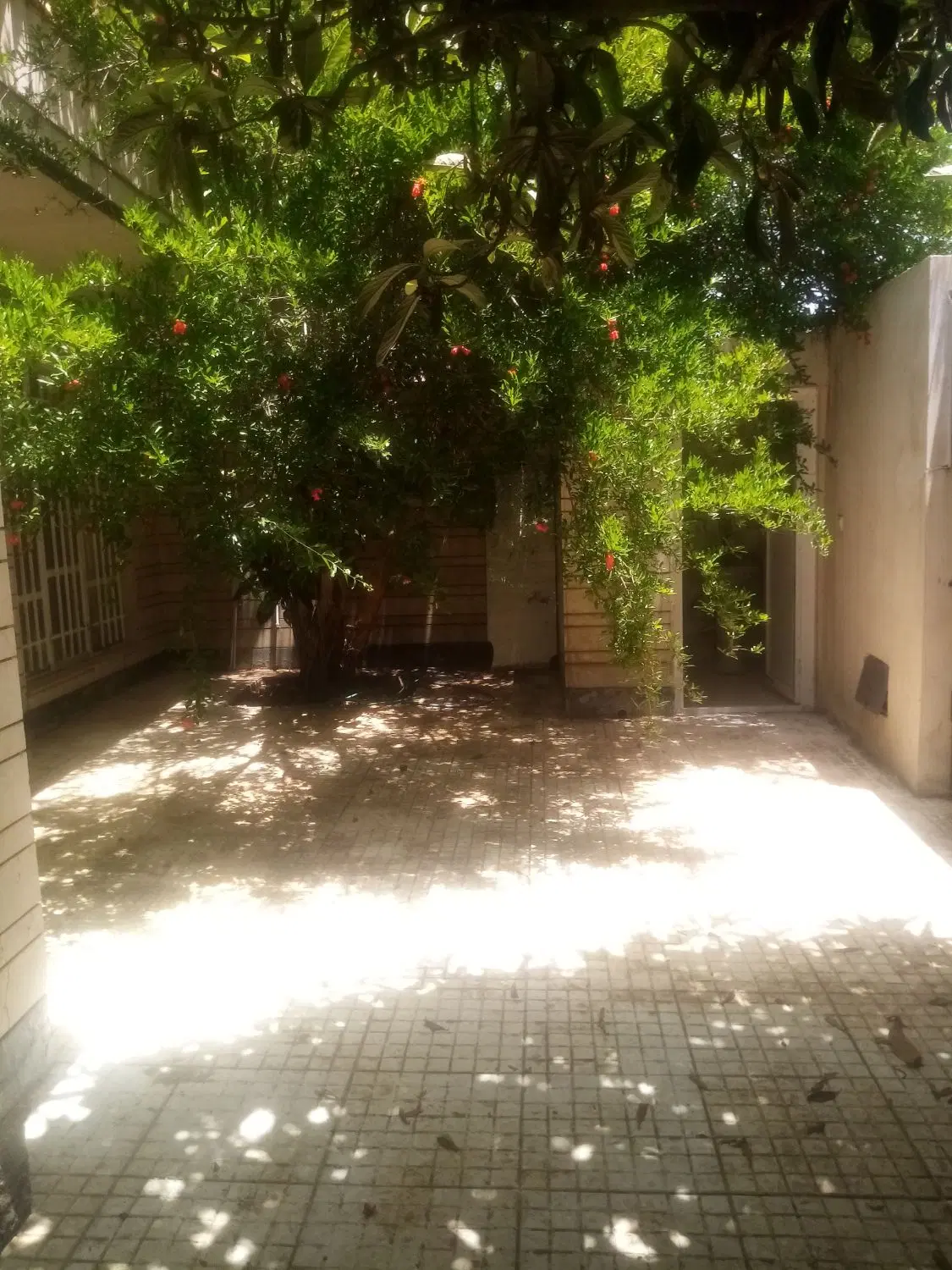 ویلایی درب از حیاط دربست