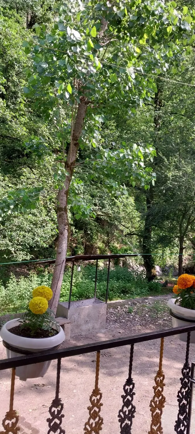 ویلادرقشنگی جنگل