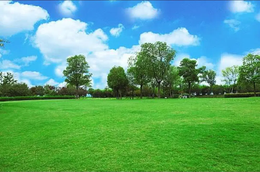 زمین ویلایی باغ یعقوب داخل طرح