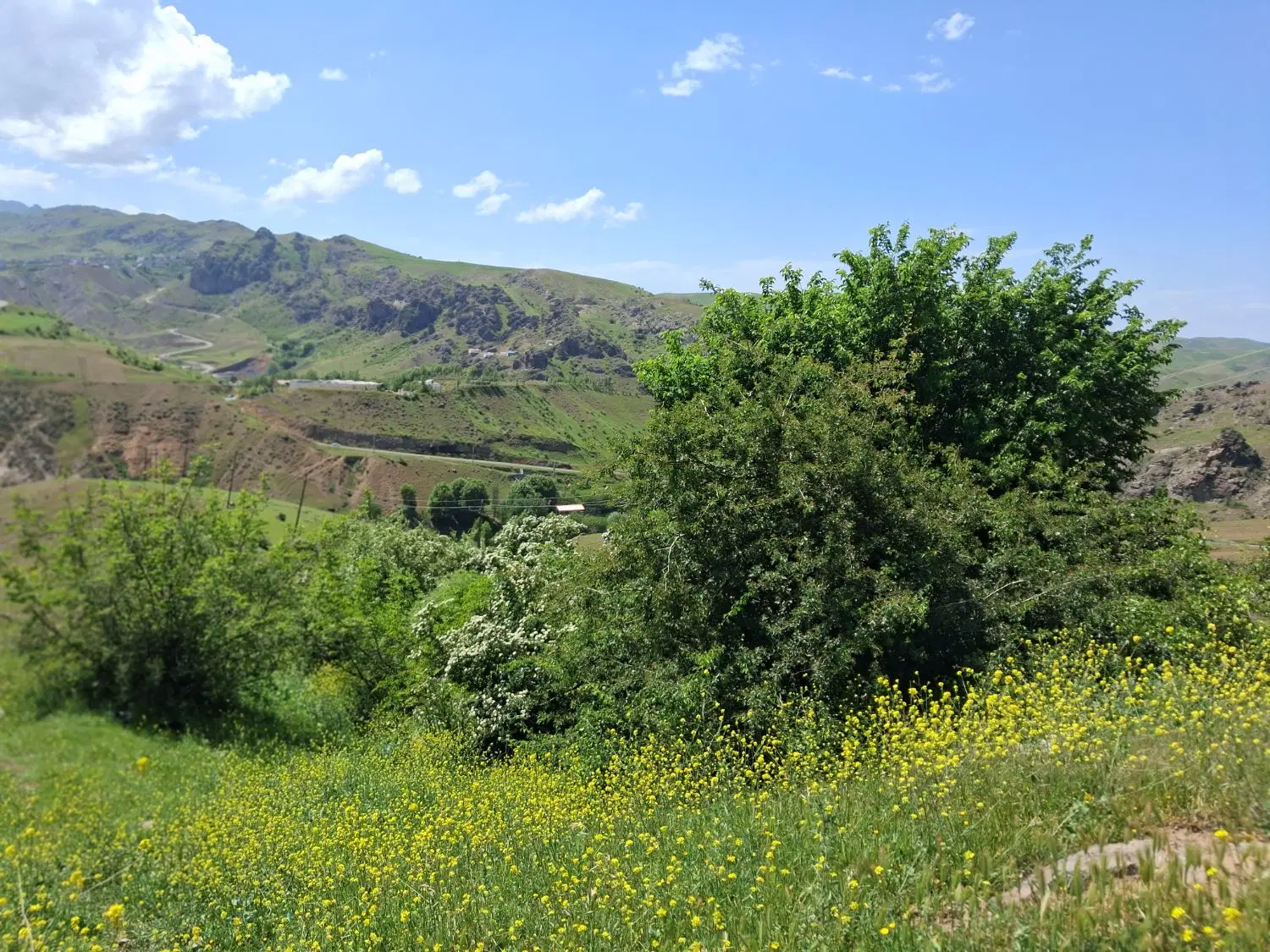 زمین۲۱۰ متر در گرمی