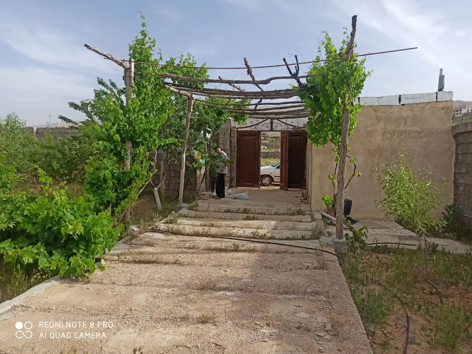 باغشهری در قلات